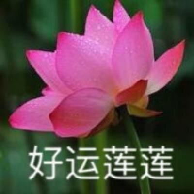 疾风战纪bt游戏下载